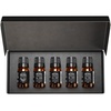 image:imageAirScent Hotel Diffuser Oil Gift Set  Inspired by The Most Popular 5Star Hotel Scents  10 mL 034 fl oz Fragrance Oil Set  My Way The Beach Villas and Other Luxury Hotel Scents
