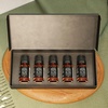 image:imageAirScent Hotel Diffuser Oil Gift Set  5Star Hotel Scents  10 mL 034 fl oz Fragrance Oil Set  Inspired By The Fairmont The White Tea Hotel Scent and Other 5Star Hotel Blends