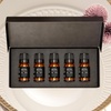 image:imageAirScent Hotel Diffuser Oil Gift Set  Casino Royale Fragrances  10 mL 034 fl oz Fragrance Oil Gift Set  Inspired by The Aria The Wynn Luxor The W and The Atlantis Bahamas