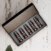 image:imageAirScent Hotel Diffuser Oil Gift Set  Tranquil Hotel Scents  10 mL 034 fl oz Fragrance Oil Set  Inspired by The White Lotus Capri Brezza Floral Breeze and Other Hotel Scents