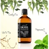image:imageAirScent Hotel Diffuser Oil No 1055 Inspired by Energize Hotel Scent  Peppermint Eucalyptus White Tea  Fragrance Oil Blend for Ultrasonic and Waterless Diffusers and Crafting  10 mL034 Fl Oz Pack of 1