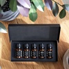 image:imageAirScent Perfume Dupe Fragrance Oil Gift Set  Pure Bliss Fragrances  10 mL 034 fl oz Diffuser Oil Set Inspired by Baccarat Rouge CreedAventus CocoInspired Santal 1033 and Santal 1026