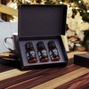 image:imageAirScent Pumpkin Spice Diffuser Oil 3 Pack Gift Set  10 mL 034 fl oz Premium Fragrance Oil Set for Ultrasonic and Waterless Diffusers and Crafting  3 Pumpkin Spice Blends