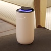 image:imageThe AirScent Mini Waterless Diffuser for for Homes Offices Spas and Hotels  Titanium Black Finish  Fragrance Oil Aromatherapy Diffuser for Aesthetic Scenting 15 mL Capacity  Night Light FeatureGold