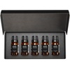 image:imageAirScent Holiday Diffuser Oil Fall Fireside Collection 5Pack Gift Set  10 mL Fragrance Oil Bottles for Ultrasonic and Waterless Diffusers and Crafting