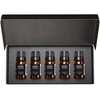 image:imageAirScent Holiday Diffuser Oil Harvest to Holidays 5Pack Gift Set  10 mL Fragrance Oil Bottles for Ultrasonic and Waterless Diffusers and Crafting