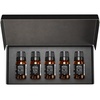 image:imageAirScent Hotel Diffuser Oil Gift Set  Florida Tropics Hotel Scents  10 mL 034 fl oz Fragrance Oil Gift Set  Inspired by My Way 1 Hotel The Beach Villas Hotel Scent and Other Hotel Blends
