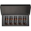image:imageAirScent Hotel Diffuser Oil Gift Set  International Traveler Hotel Scents  10 mL 034 fl oz Fragrance Bottles Inspired by the Luxurious Fragrances of International Hotel Brands