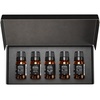 image:imageAirScent Hotel Diffuser Oil Gift Set  Tranquil Hotel Scents  10 mL 034 fl oz Fragrance Oil Set  Inspired by The White Lotus Capri Brezza Floral Breeze and Other Hotel Scents