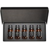 image:imageAirScent Hotel Diffuser Oil Gift Set  Zen Hotel Scents  10 mL 034 fl oz Fragrance Oil Set  Inspired by The White Lotus Floral Breeze Beach Villas Hotel Blends and Others