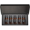 image:imageAirScent Hotel Diffuser Oil Gift Set Featuring Hotel Spa Scents  10 mL 034 fl oz Fragrance Oil Gift Set  Inspired by Acqualina Four Seasons My Way The White Tea Hotel and Others
